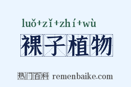 裸子植物是什么意思的图片